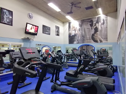 Gimnasio Olympia-Pamplona