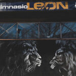 Gimnasio León - Tu Gimnasio en Pamplona-Pamplona
