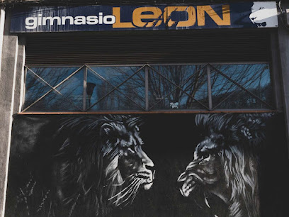 Gimnasio León - Tu Gimnasio en Pamplona-Pamplona